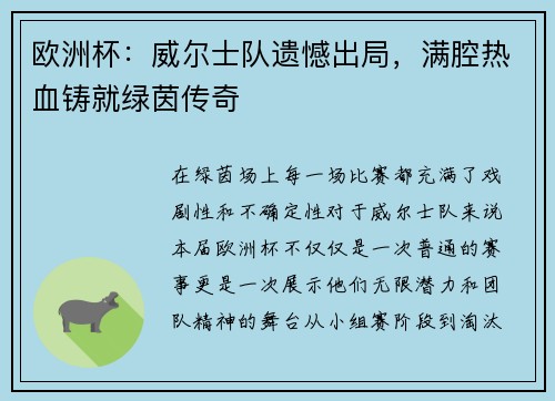 欧洲杯：威尔士队遗憾出局，满腔热血铸就绿茵传奇