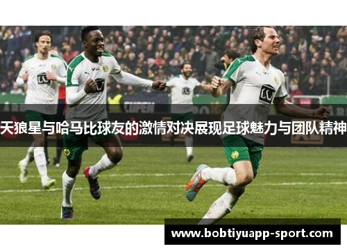 天狼星与哈马比球友的激情对决展现足球魅力与团队精神